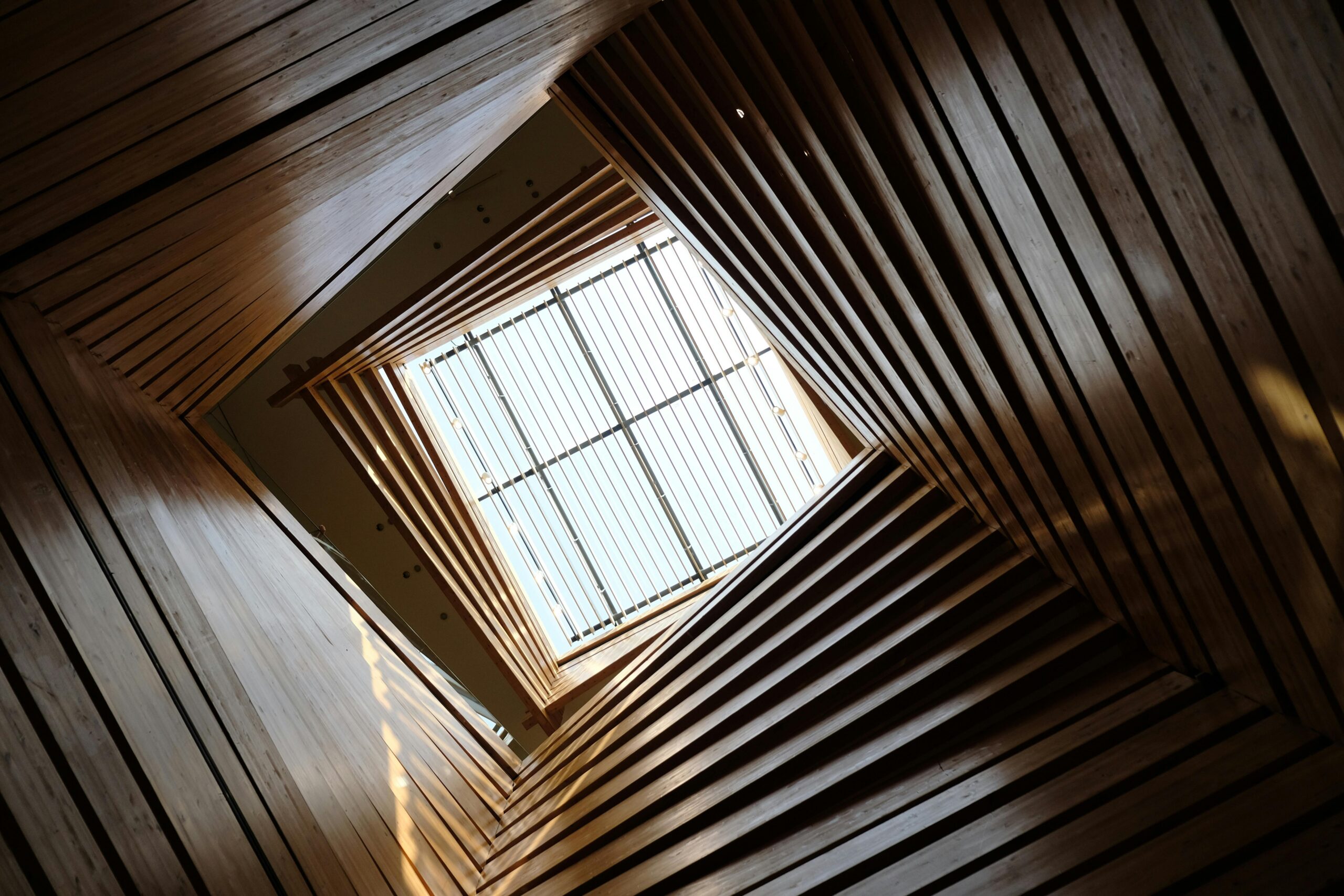 Optical illusion as a metaphor for integrating multiple perspectives